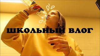 жизнь вегана и серебряная кнопка (vlog 25) | Polina Sladkova