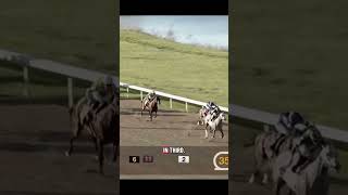Full Effort to win the Jeff Ruby! #foryoupage #horseracing #youtubeshorts #shorts #horseraces #fyp