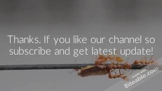 Unitech Group & Services   Trailer screenshot 3