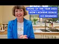 WORD of the year 2023, setting goals and ACHIEVING them, ICE Swimming!