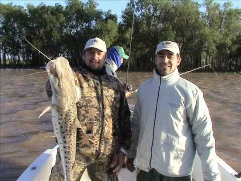 PESCA DE SURUBI Y DORADOS EN ANSENUZA SAN JAVIER.wmv