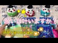 私の願いは叶いますか?⭐️時期やご縁のある場所✨🌎 リクエストリーディング*