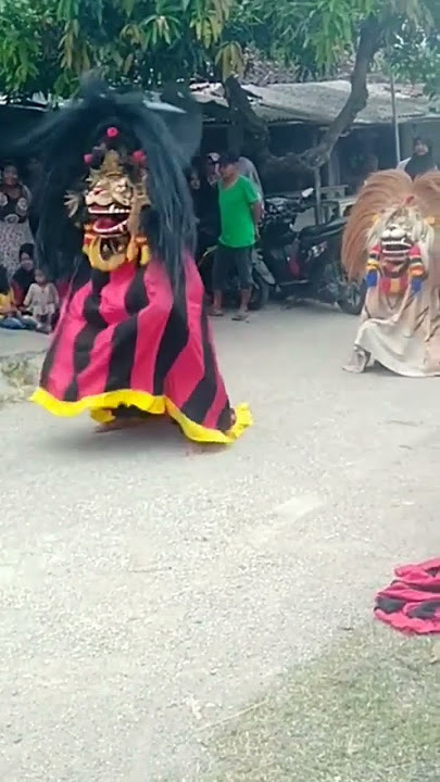 BARONGAN BERDIRI BERAKSI