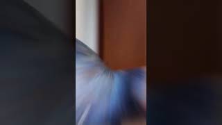 Big Booty Builup Workout Fitness Model Girl 1