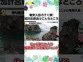 奄美大島のすぐ横!加計呂麻島はこんなところ