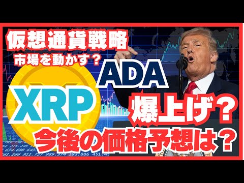 【XRP／ADA爆上げ】トランプ大統領の仮想通貨戦略が市場を動かす！今後の価格予想は？