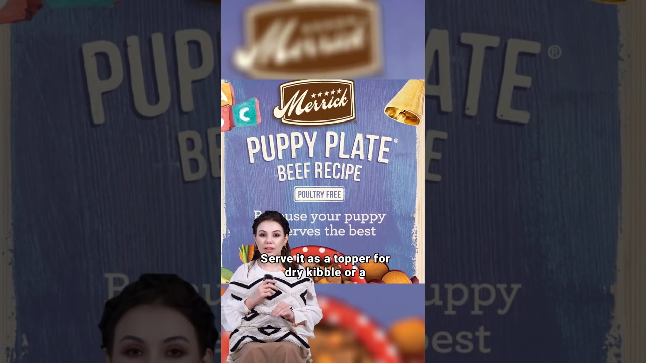 Merrick Grain Free Wet Puppy Food Unboxing & First Impressions   Beef Recipe 