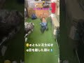 似たもの同士 Two Of A Kind 8歳 1歳 