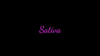 Sativa - short film