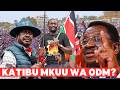 'When Sifuna speaks-He speaks on behalf of the party!! James Orengo shakes the whole Nation