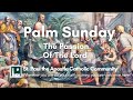 Palm sunday  1130 am mass march 24  2024