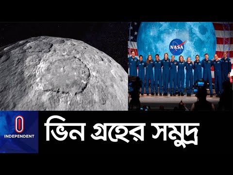 ভিডিও: SAT প্রিপ বইয়ের দাম কত?