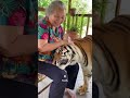 Si quieres seguridad en tu casa y que no te saqueen ni te asalten cómprate esta mascota.
