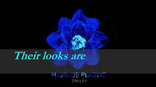 Smiley Flori De Plastic Plastic Flowers English lyrics