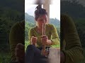 Two dogs help the girl return food to the tent - Harvest bananas, cooking #harvest #trieutoa