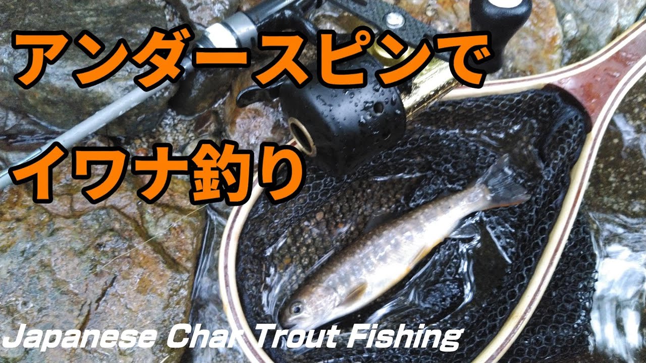 スピンキャスト】アンダースピンUS120XDでイワナ釣り - Japanese Char
