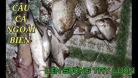 [CÂU CÁ]ĐIỂM CÂU HUYỀN THOẠI (TRỤ ĐIỆN GIÓ NGOÀI KHƠI)