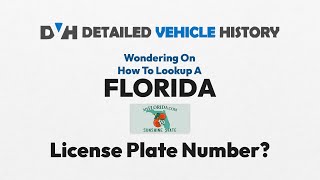 How to Use License Plate Lookup Florida | Florida Plate Number Search