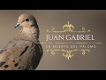 Juan Gabriel - la muerte del palomo (letra)