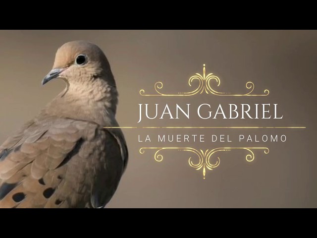 Juan Gabriel - La Muerte del Palomo