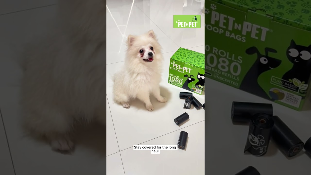 No More Running Out! PET N PET 1080 Black Poop Bags 🐾✨