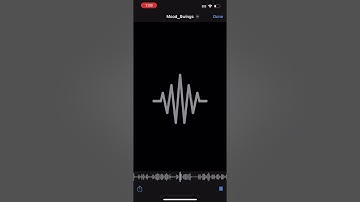 DC the Don - Mood Swings