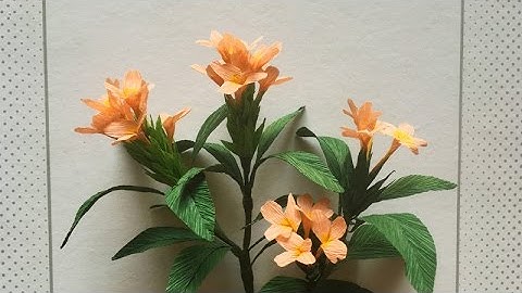 ABC TV | How To Make Crossandra Paper Flower From Crepe Paper - Craft Tutorial