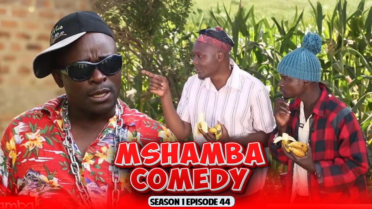 MSHAMBA Sn1 Ep44: From Apology to Airport:Mshamba's Transatlantic Trouble