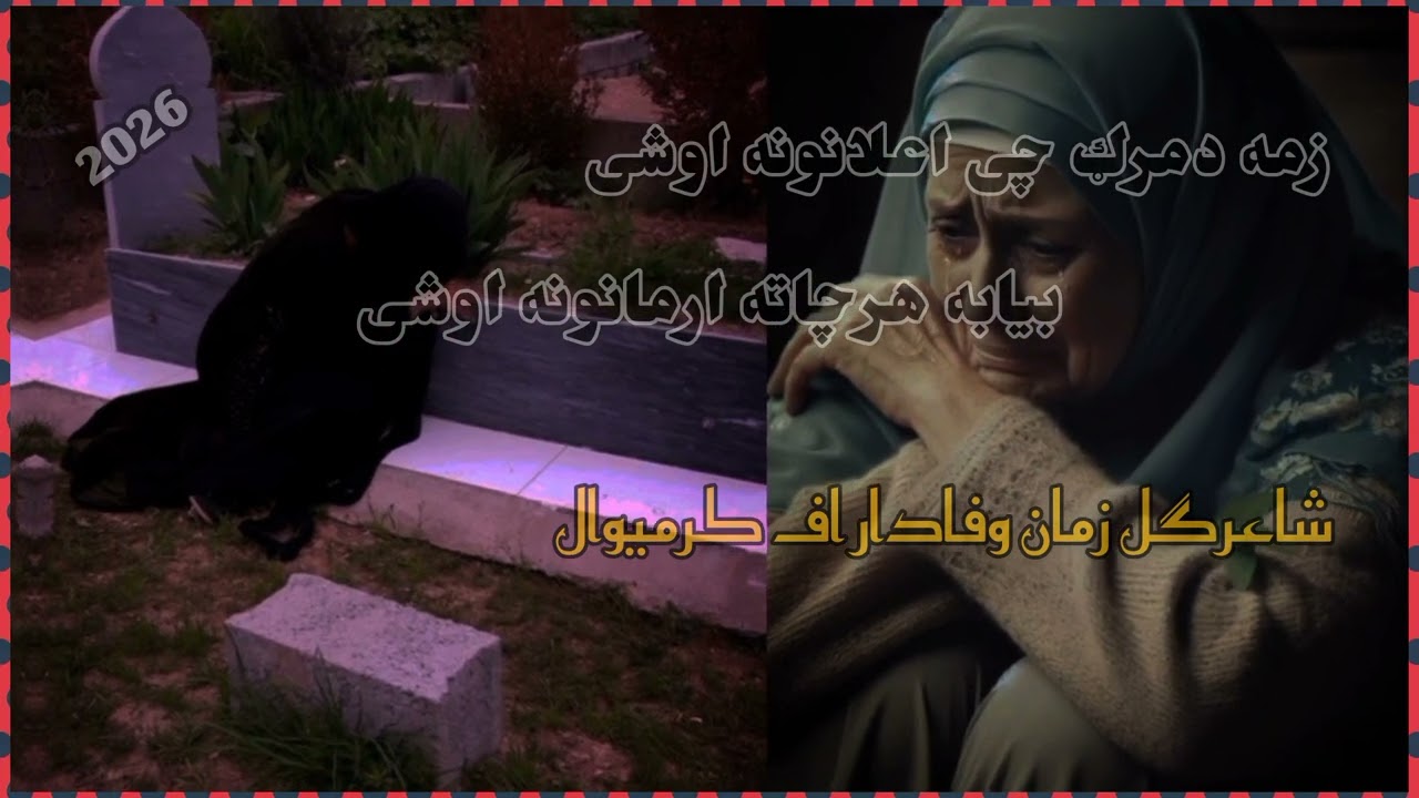 nawi nazam zama damarg chi elanuna oshi shaergul zuman wafadar af karmewal 2026