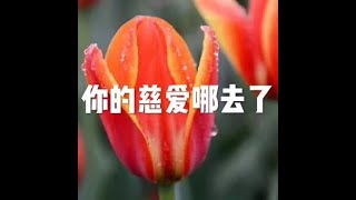 201504 你的慈爱哪去了21499