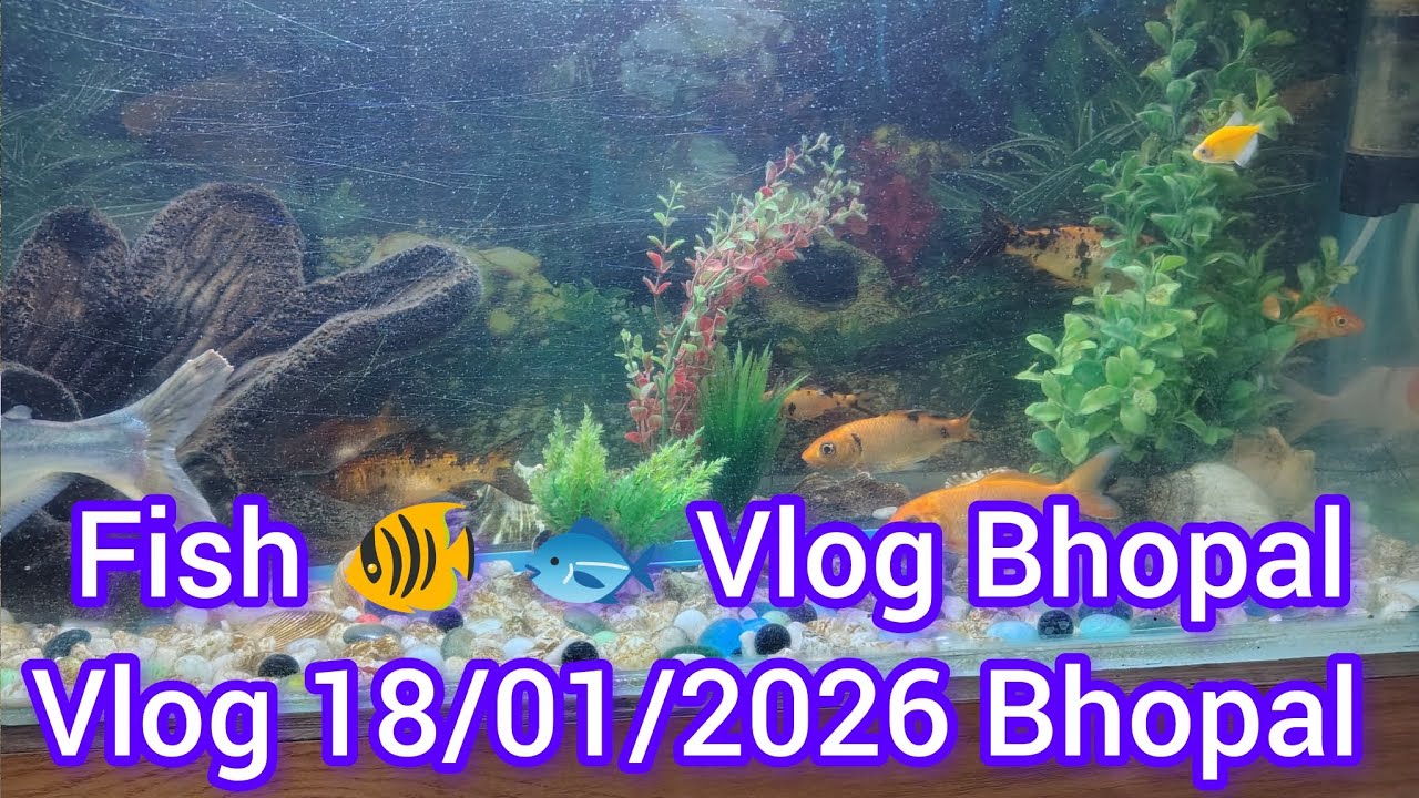Fish 🐠🐟 Vlog Bhopal Live ll  Vlog 18/01/26 ll Youtube ll vlog video ll Viralvedeo ll Mukund