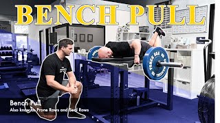 Bench Pull - Tutorial