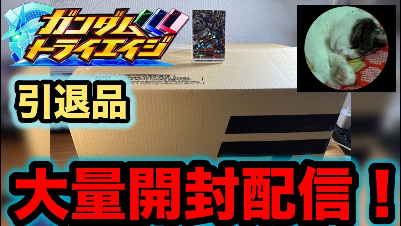 ガンダムトライエイジ】引退品受け取り！大量開封配信！ - YouTube