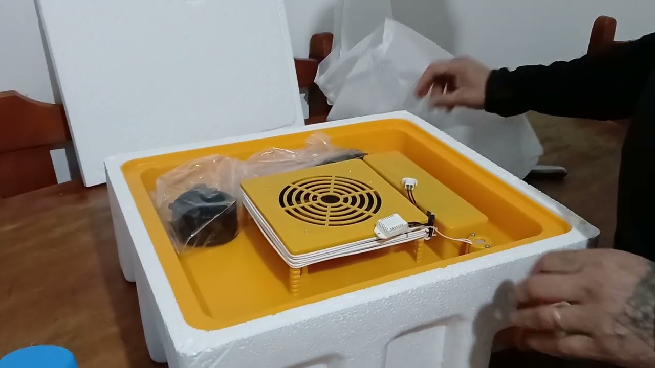 Unboxing incubadora automática de 36 huevos de TEMU