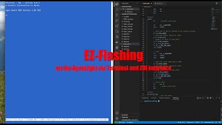 AgonLight flashing via ZDI without expensive cable
