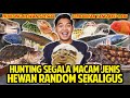 HUNTING SEGALA MACAM JENIS HEWAN RANDOM SEKALIGUS! HUNTING TERBANYAK YANG PERNAH AKU LAKUIN!!