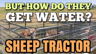 The ONE THING nobody talks about ~Mobile Watering System ~ SHEEP TRACTOR UPDATE!