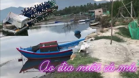 Review Đìa nuôi cá mú trên đầm cù mông