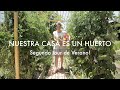 Nuestra casa es un Huerto | Segundo Tour de Verano ! Cucamelons y todo Verde!