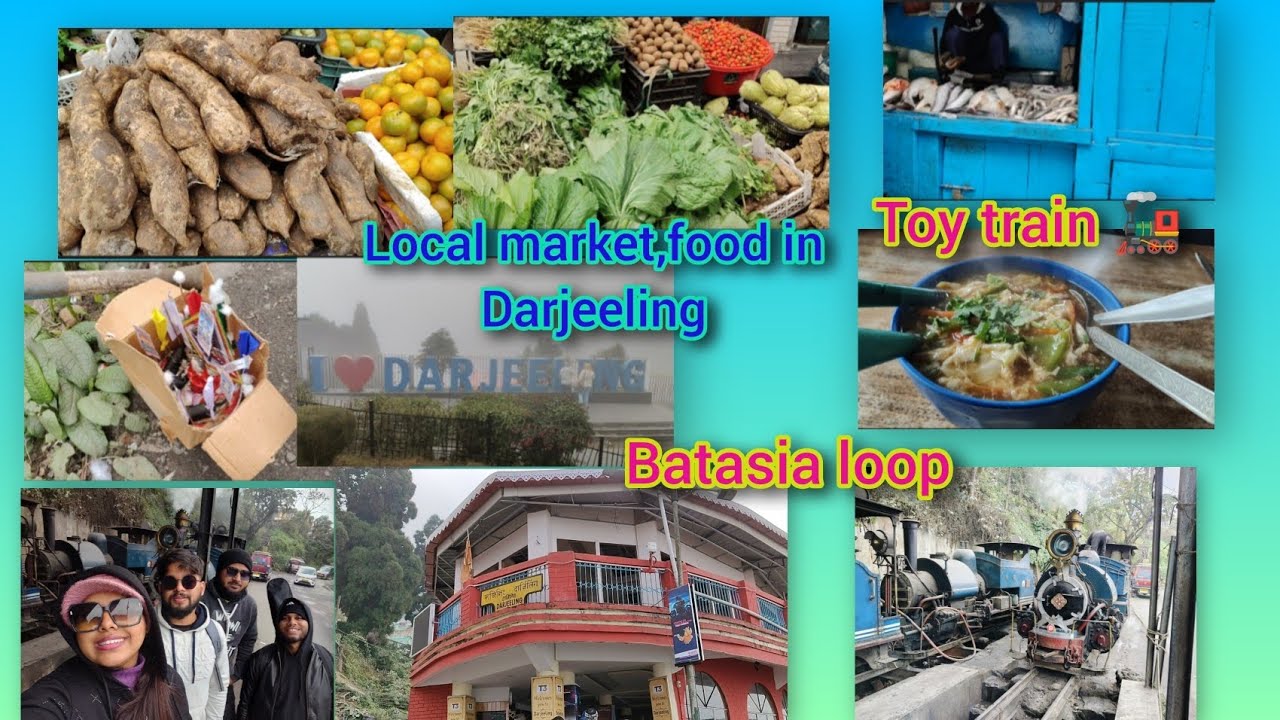 আজকে দার্জিলিং এর লোকাল সব্জি,মাছ মার্কেট ঘুরে দেখলাম।রাস্তায় একটা অদ্ভুত জিনিস দেখলাম।#travel 