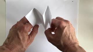 Make a Dear Zoo Book