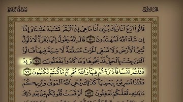 ترتيل هادئ القارئ عبدالرحمن الرشود ثاني ليالي رمضان ١٤٤٢ه‍ ٢٠٢١م