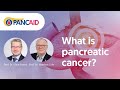 What is pancreatic cancer? with Profs. Klaus Pantel and Matthias Löhr / PANCAID interview