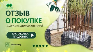 Отзыв на заказ в Долине Растений от Дмитрия 9 апреля 2023 г.