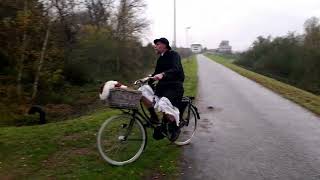 Promo Mv Valuas Xperience 2022  Dagboek Van Een Herdershond