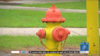 Fire hydrant water flow causes concern for two Brunswick County schools