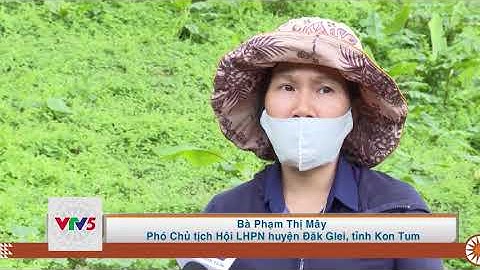 [TIẾNG GIẺ TRIÊNG] THAY ĐỔI NẾP NGHĨ, CÁCH LÀM TRONG VÙNG ĐBDTTS | VTV5