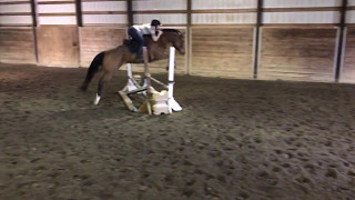 Opal Jumping - Sold