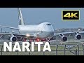 [4K] 32 Jets Landing - Plane Spotting Tokyo Narita Airport 2019 / 成田空港 JAL ANA