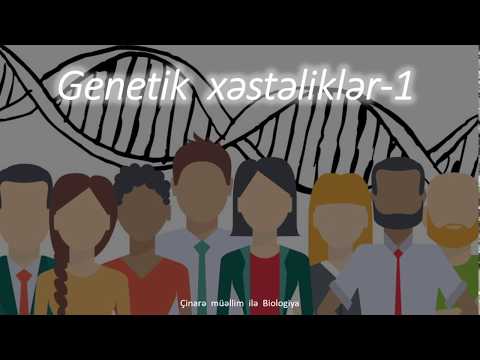 Genetik xestelikler -1